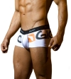 Gigo Logo Trunk